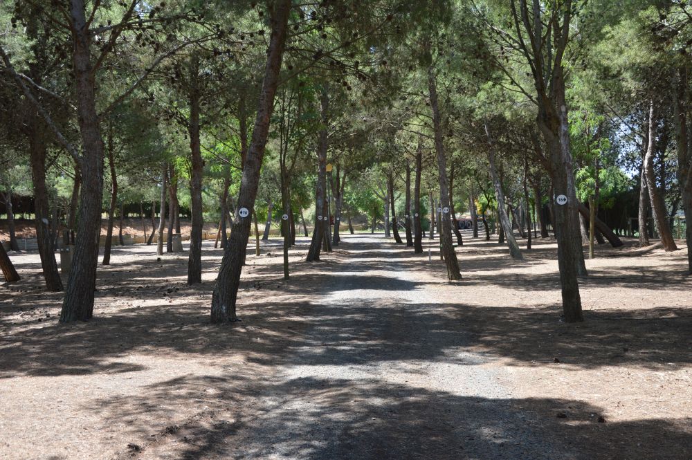 parcelas de acampada