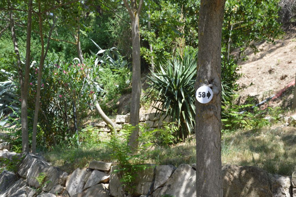 parcelas de acamapda en camping navarra