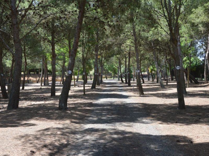 parcelas de acampada