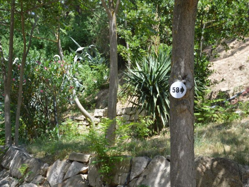 parcelas de acamapda en camping navarra